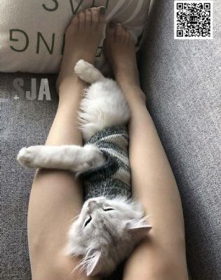 紧的做起来舒服还是松的_BD国语全集在线观看