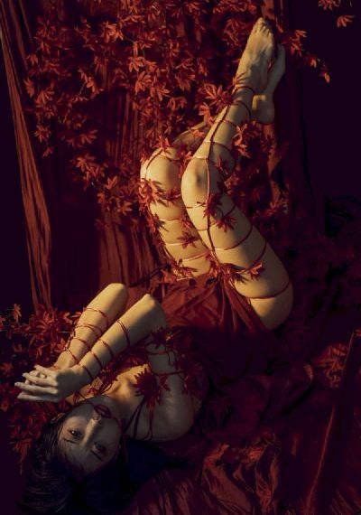 玩弄高傲美妇系列_HD高清完整版